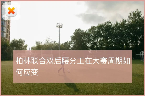 柏林联合双后腰分工在大赛周期如何应变